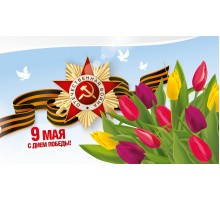 Занавес на 9 мая 0720