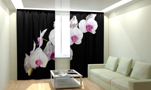 Фотошторы Белые орхидеи в ночи